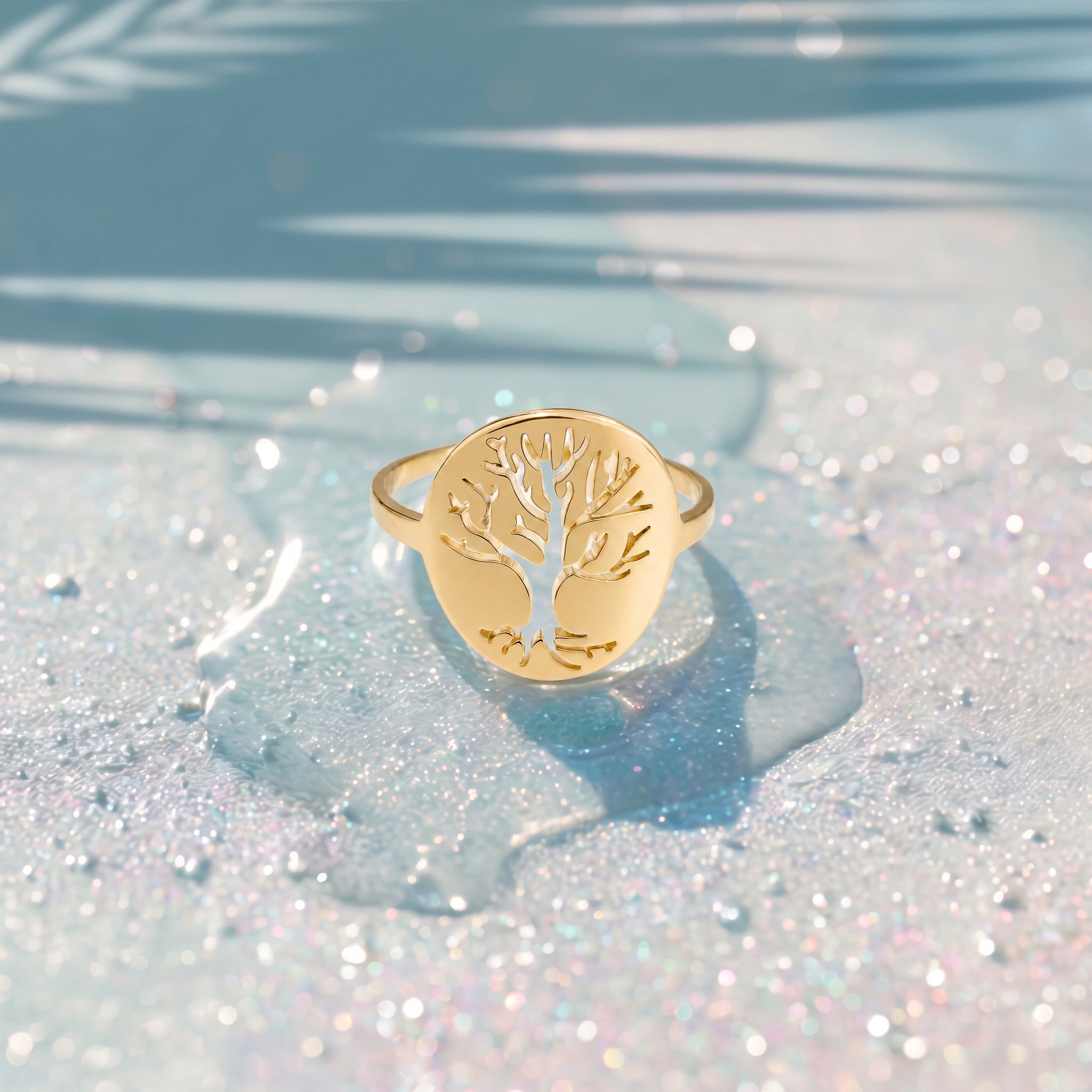 Anillo Vida