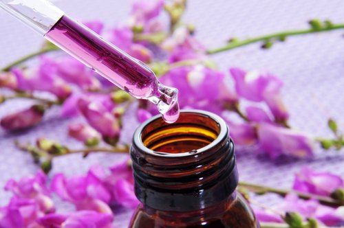 Descubre cómo te pueden ayudar las flores de Bach