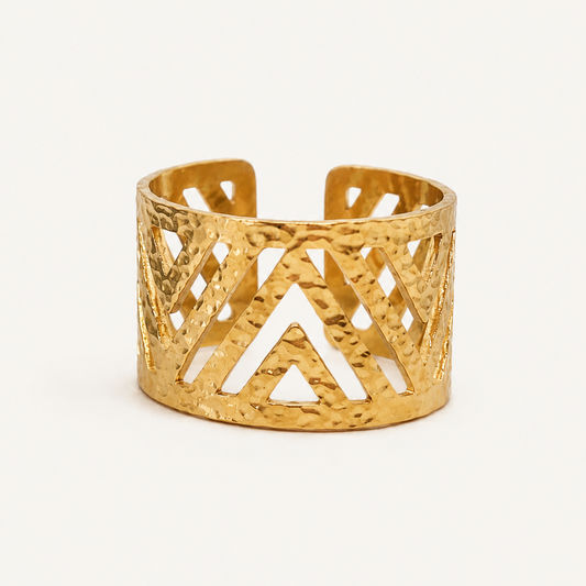 Anillo Nexo