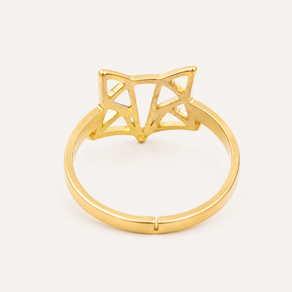 Anillo Zira