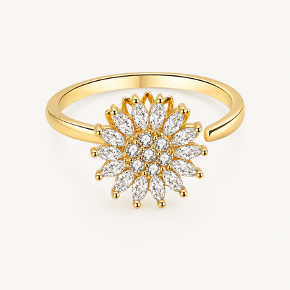 Anillo Viana