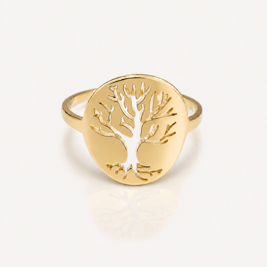 Anillo Vida