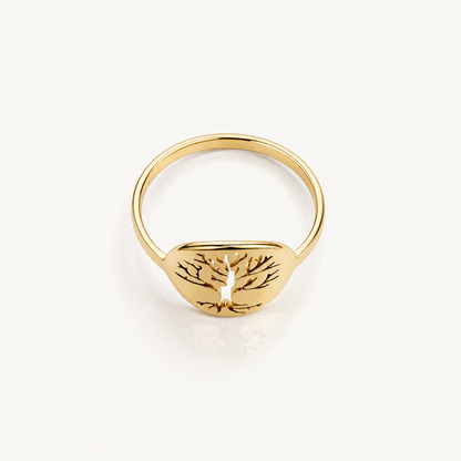 Anillo Vida