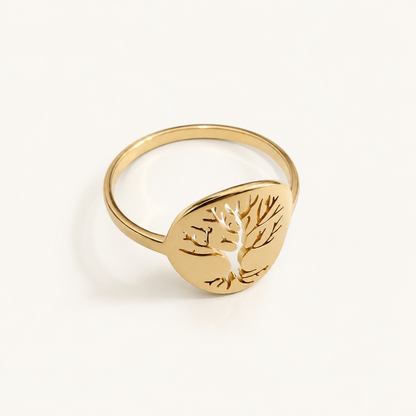 Anillo Vida
