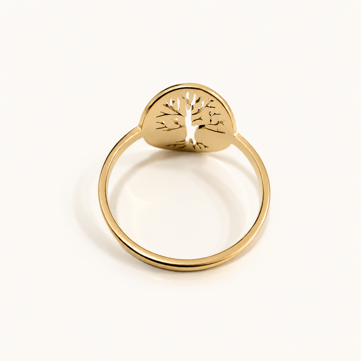 Anillo Vida