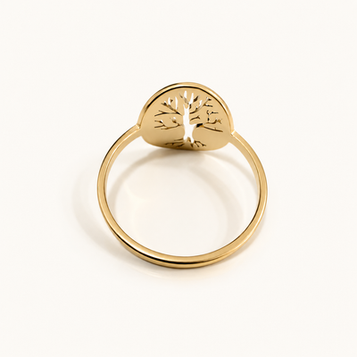 Anillo Vida