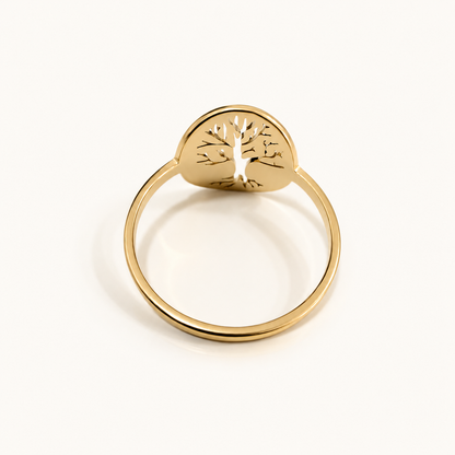 Anillo Vida