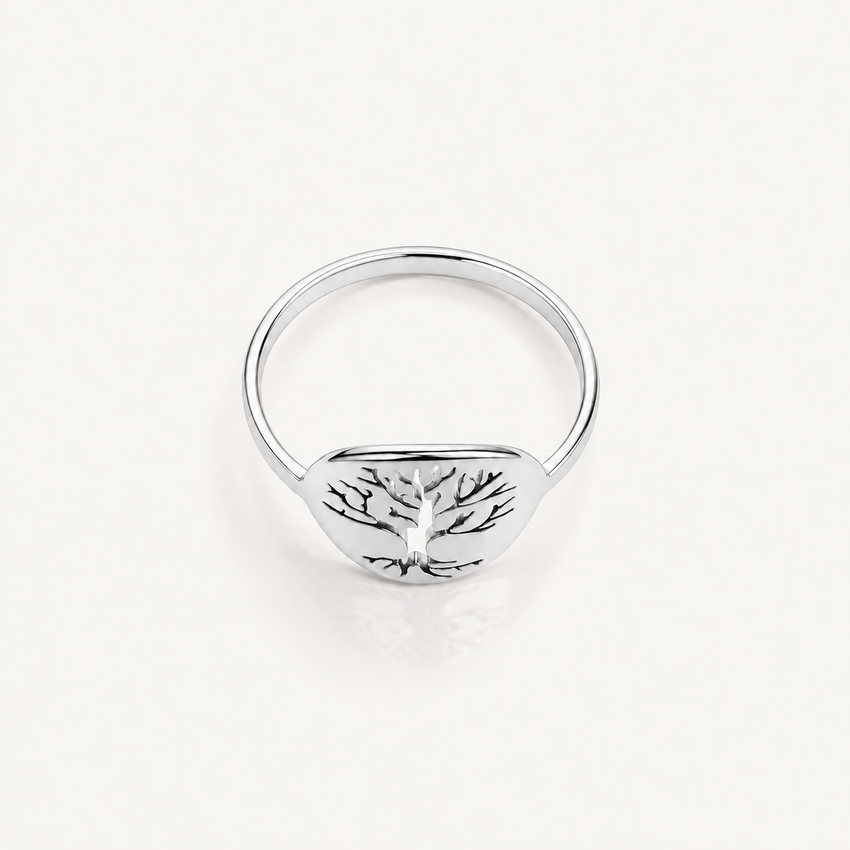 Anillo Vida