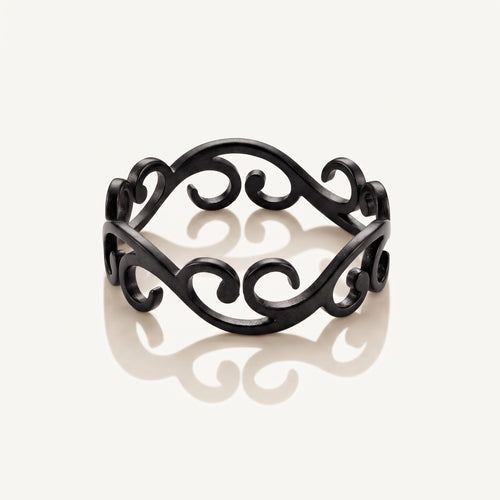Anillo Isar