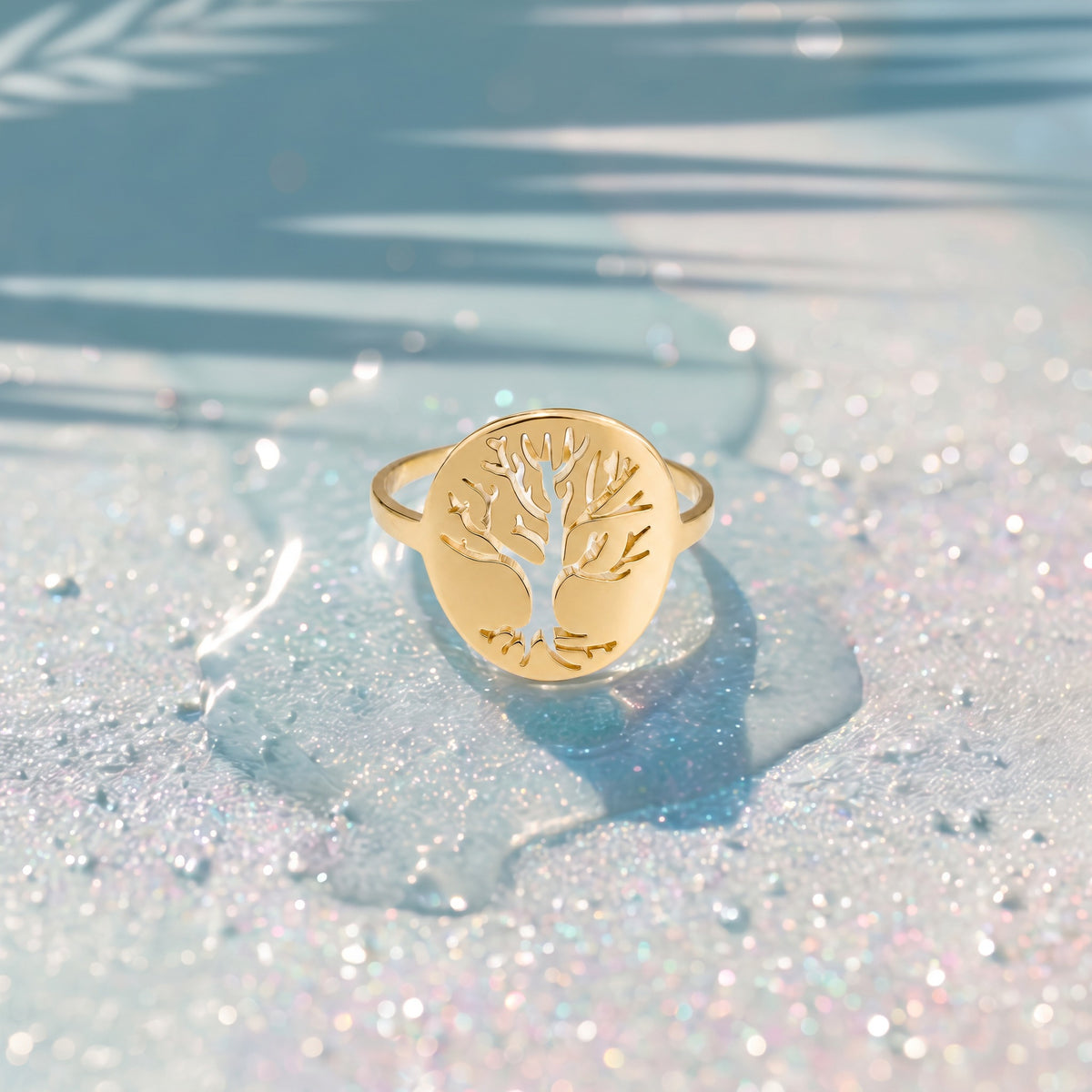 Anillo Vida