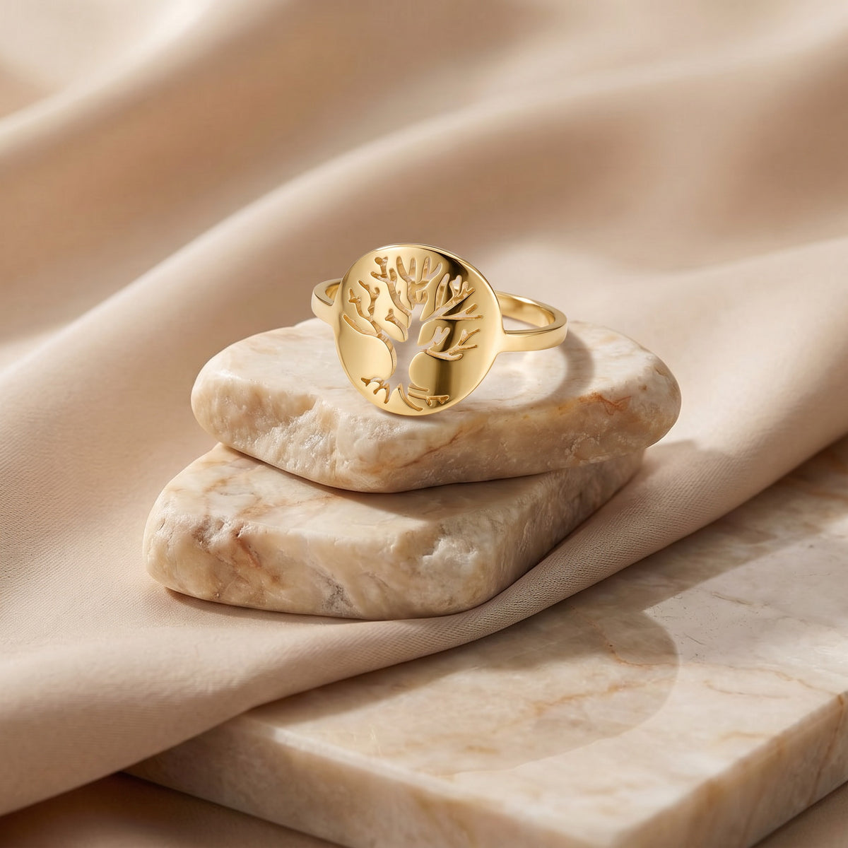 Anillo Vida
